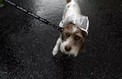 Καιρός: Βροχές και καταιγίδες στα δυτικά μέχρι το απόγευμα - Ισχυροί άνεμοι σε Αιγαίο και Ιόνιο