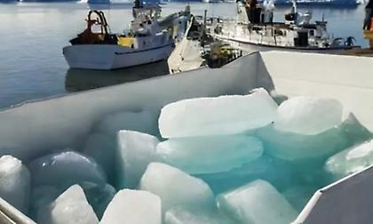 Γροιλανδία: Πάγος 100.000 ετών εξάγεται σε μπαρ στο Ντουμπάι - «Είναι ο πιο «καθαρός στη γη»