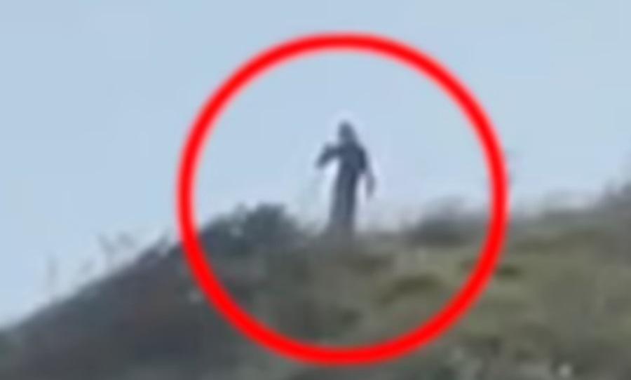 Χαμός με τα πλάνα που απεικονίζουν... τρίμετρα πλάσματα σε λόφο!