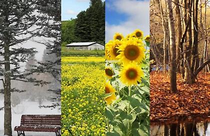 Πτώση της θερμοκρασίας το Σάββατο, τοπικές χιονόπτωσεις στα ορεινά-ημιορεινά