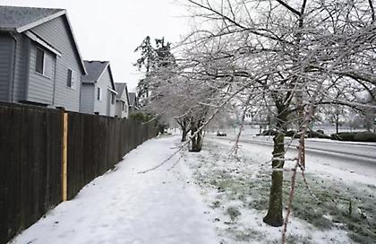 Δεκάδες νεκροί από την κακοκαιρία στις ΗΠΑ - Χωρίς ρεύμα χιλιάδες σπίτια