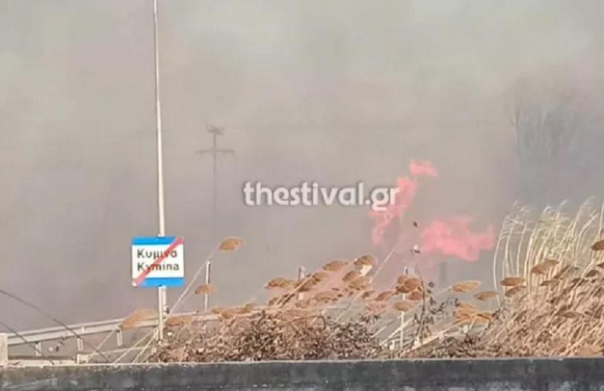 Μεγάλη φωτιά έξω από τη Θεσσαλονίκη - Πνέουν ισχυροί άνεμοι