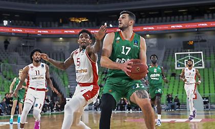 Από την Τσεντεβίτα Ολίμπια στους Πέλικανς ο Κάρλο Μάτκοβιτς