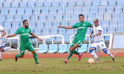 Λεβαδειακός-Ηρακλής