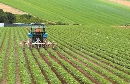 Μέτρα για την ενίσχυση του αγροτικού εισοδήματος – Μέχρι το Πάσχα οι πληρωμές του 2023