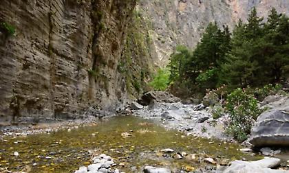 Χωρίς άδεια μεγάλο rave πάρτι στον εθνικό δρυμό Σαμαριάς