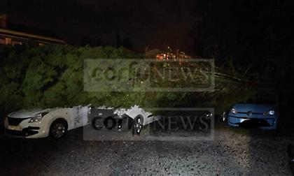 Σφοδρή χαλαζόπτωση στην Κέρκυρα - Δέντρο έπεσε πάνω σε αυτοκίνητα