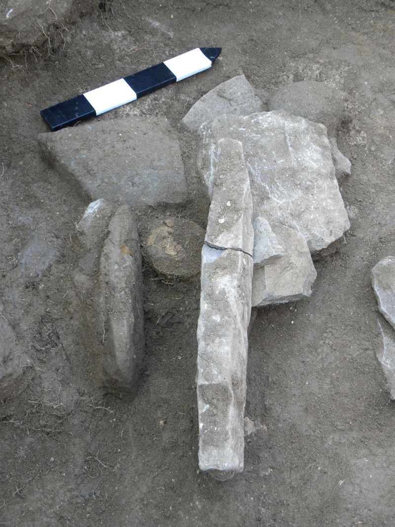 Ανασκαφή στην Αίγινα έφερε στο φως σκελετό μωρού με σύνδρομο Down