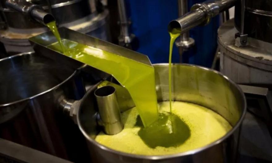 Eurostat: Πάνω από 50% αυξήθηκε η τιμή του ελαιόλαδου ΕΕ- Δεύτερη υψηλότερη στην Ελλάδα