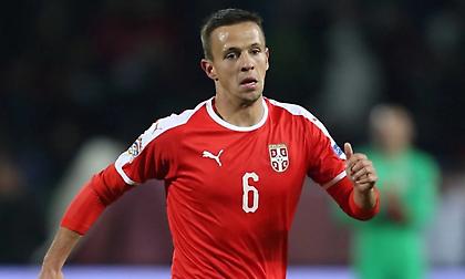 Νικολογιάννης: «Έχει ένα στοιχείο που λείπει από τον Παναθηναϊκό ο Μαξίμοβιτς»