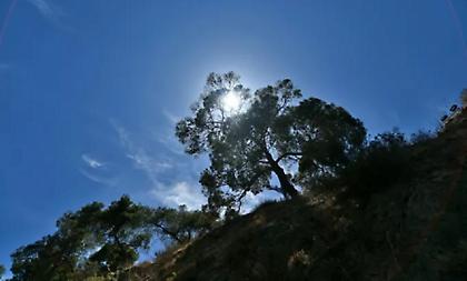 Αίθριος καιρός σήμερα με ηλιοφάνεια και μικρή άνοδο της θερμοκρασίας