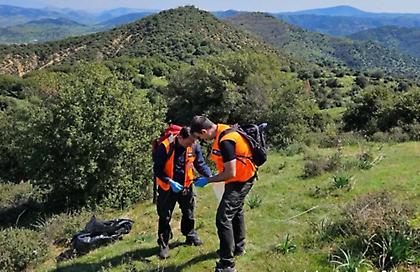 Φρίκη σε ορεινή περιοχή της Θεσσαλίας: Εντοπίστηκαν αρκετά νεκρά ζώα και 193 δηλητηριασμένα δολώματα
