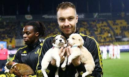 Όμορφη κίνηση από τον Άρη: Βγήκαν στον αγωνιστικό χώρο με κουτάβια οι παίκτες του