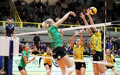 Παναθηναϊκός: Βγήκαν τα εισιτήρια για τον πρώτο ημιτελικό με ΑΕΚ