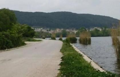 Ιωάννινα: Σκύλοι επιτέθηκαν σε ηλικιωμένο και τον έριξαν στη λίμνη