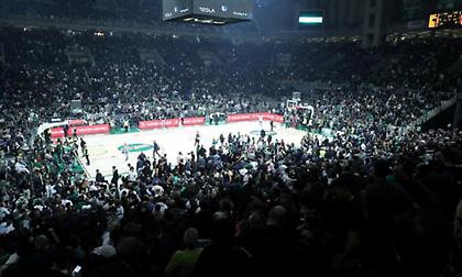 Γιορτή για τη 2η θέση στο ΟΑΚΑ: Ανακοίνωσε sold out με την ουραγό Άλμπα ο Παναθηναϊκός AKTOR!