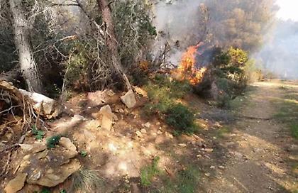 Ανησυχητική ξηρασία στα ανατολικά της χώρας - Σε ποιες περιοχές είναι μεγάλος ο κίνδυνος για φωτιές το καλοκαίρι