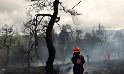 Συναγερμός για ταυτόχρονα πύρινα μέτωπα στο Υπουργείο Πολιτικής Προστασίας: 71 πυρκαγιές σε 12 ώρες