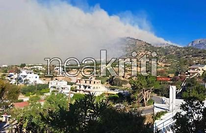 Φωτιά στην Ιεράπετρα: Υπό μερικό έλεγχο – Σε επιφυλακή για αναζωπυρώσεις - Στάχτη 2.000 στρέμματα στον Μαύρο Κόλυμπο