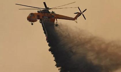 Φωτιά σε δασική έκταση  στη Φθιώτιδα