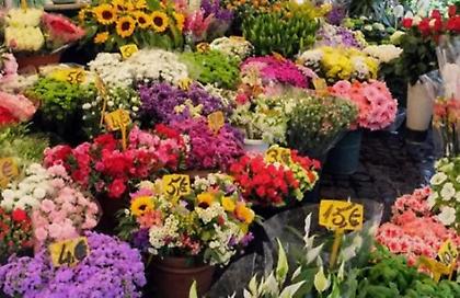 Ποια γιορτή είναι σήμερα