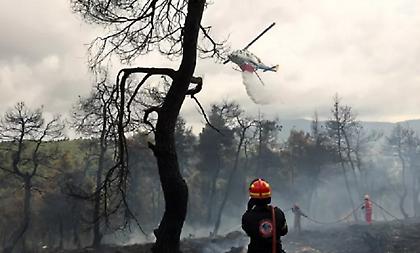 Πυροσβεστική: 73 αγροτοδασικές πυρκαγιές το τελευταίο εικοσιτετράωρο σε όλη την χώρα