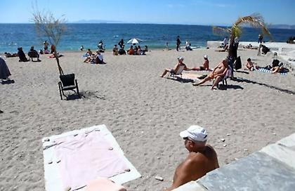 Πανικός σε λουόμενους σε παραλία του Βόλου: Φίδι δάγκωσε γυναίκα μέσα στη θάλασσα