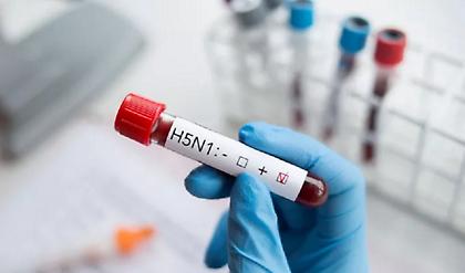 Παγκόσμια, «τεράστια ανησυχία» για την μετάδοση της γρίπης των πτηνών στους ανθρώπους