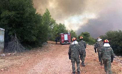 Φωτιά σε αγροτοδασική έκταση στον Άγιο Στέφανο Μονεμβασιάς