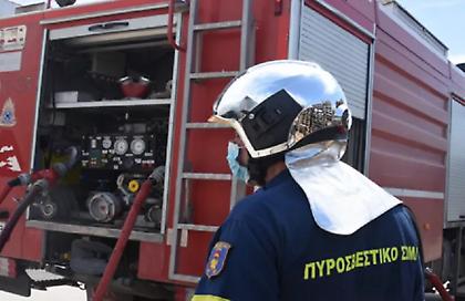 Υπό μερικό έλεγχο η πυρκαγιά σε αγροτοδασική έκταση στην Αγία Τριάδα Βοιωτίας