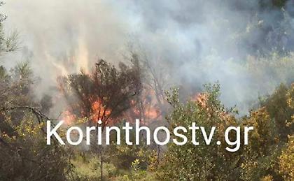 Φωτιά στο Λουτράκι - Επιχειρούν πυροσβέστες και εθελοντές