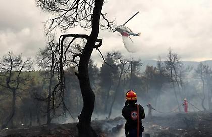 Οριοθετήθηκε η φωτιά στην Προσύμνη Αργολίδας- Σε δύσβατο σημείο το πύρινο μέτωπο