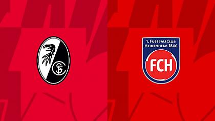 Φράιμπουργκ-Χάιντενχαϊμ