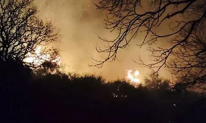 Εμπρηστής κατ' εξακολούθηση: Συνελήφθη άνδρας για επτά πυρκαγιές στην Ακράτα Αχαΐας