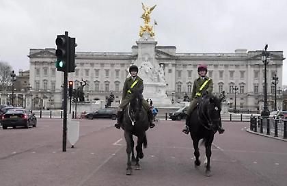 Τουρίστρια εκνεύρισε άλογο της βασιλικής φρουράς στο Μπάκιγχαμ και την... δάγκωσε!