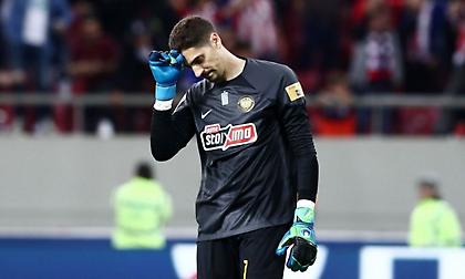 Εκτός της προεπιλογής της Αυστρίας για το Euro ο Στάνκοβιτς