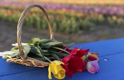 Εορτολόγιο: Ποιοι γιορτάζουν σήμερα 25 Μαΐου