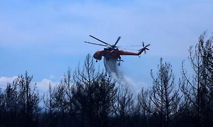 Σε εξέλιξη πυρκαγιά στο Μετόχι Μεγάρων