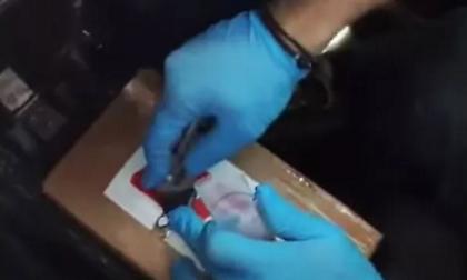 Ακόμα ένα φορτίο με 46 κιλά κοκαΐνης εντοπίστηκε στον Πειραιά