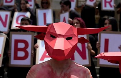 Απαγορεύτηκαν οι ταυρομαχίες στην Κολομβία - Θρίαμβος για τους ακτιβιστές