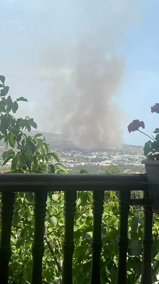 Συναγερμός στην Πυροσβεστική: Φωτιά σε δασική έκταση κοντά στις Αφίδνες