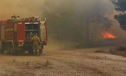 Φωτιά σε ΧΥΤΑ στη Νεμέα Κορινθίας