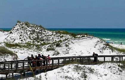 Καρχαρίες επιτέθηκαν σε κολυμβητές στη Φλόριντα - Ακρωτηριάστηκε 45χρονη