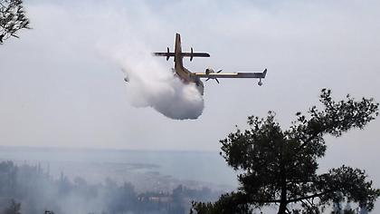 Φωτιά τώρα στην Πλάτη Μεσσηνίας – Επιχειρούν και εναέρια μέσα