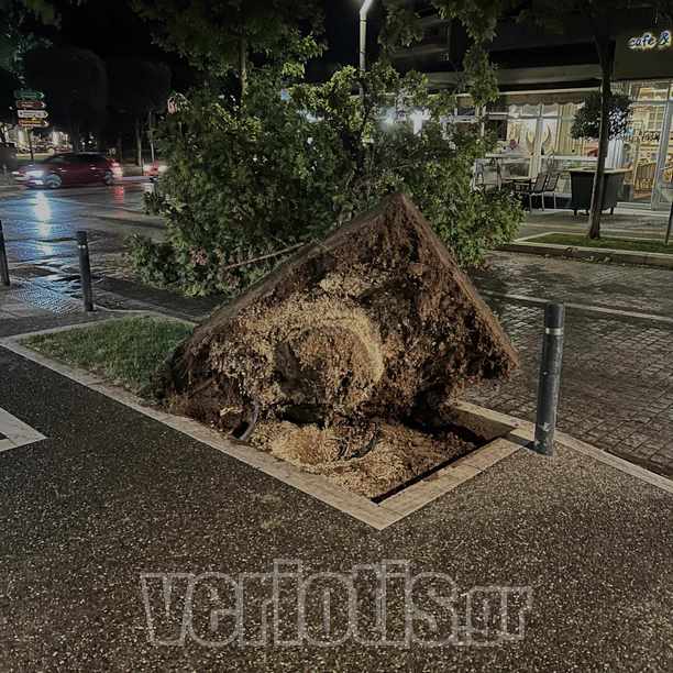 Βέροια: Δυνατό μπουρίνι έριξε δέντρα και κολόνες - Δεκάδες κλήσεις στην Πυροσβεστική