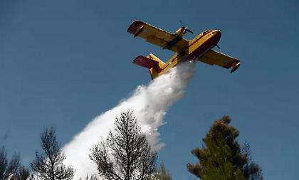 Φωτιά στο Ακόντιο Λιβαδειάς - Επιχειρούν εναέρια μέσα