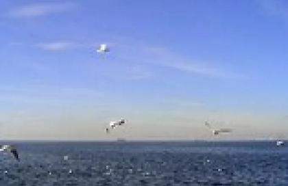 Περιπέτεια για άνδρα με ιστιοσανίδα sup στον Θερμαϊκό