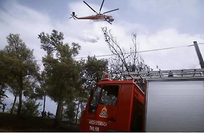 Μαγνησία: Υπό μερικό έλεγχο η φωτιά στη Γαβριανή Αλμυρού