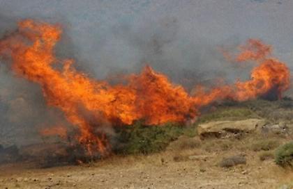 Μεγάλη φωτιά στην Αργολίδα - Μήνυμα 112 για εκκένωση της Δάρδιζας