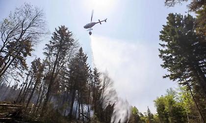 Φωτιά σε δάσος στην περιοχή Κοντοδεσπότι στην Εύβοια - Σηκώθηκαν και εναέρια μέσα